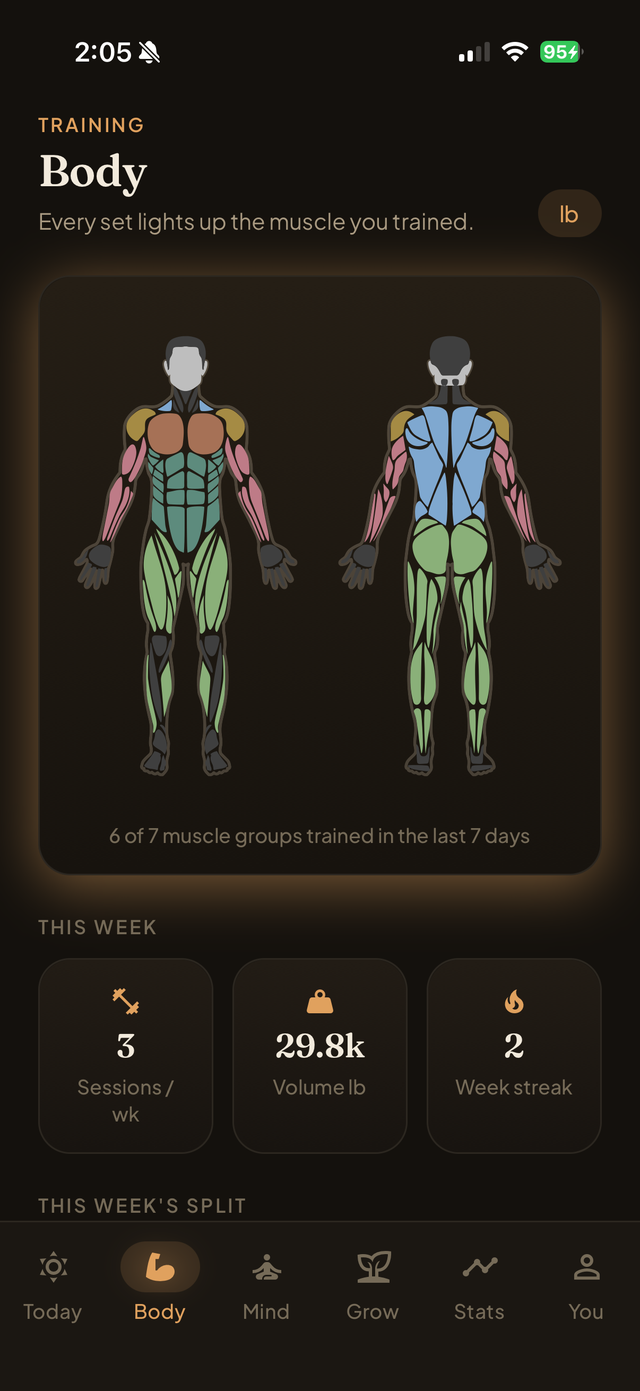 Body training with a live muscle map.